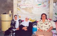 Trzy Druzyjki w pralni domowej.